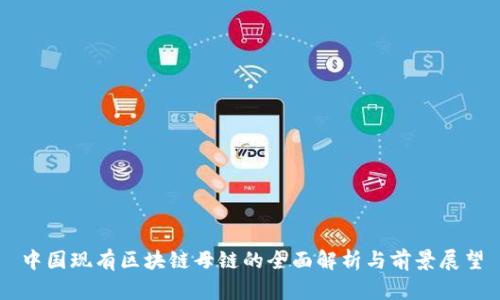 中国现有区块链母链的全面解析与前景展望