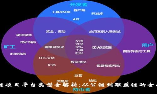 区块链项目平台类型全解析：从公链到联盟链的全面指南