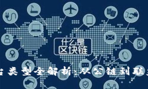 区块链项目平台类型全解析：从公链到联盟链的全面指南