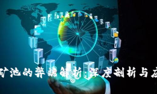 区块链矿池的弊端解析：深度剖析与应对策略