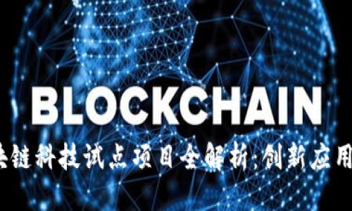 思考一个的  
2023年区块链科技试点项目全解析：创新应用与未来趋势