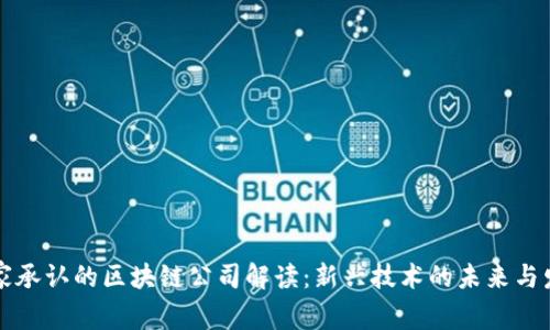 国家承认的区块链公司解读：新兴技术的未来与发展