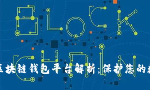 十大最安全区块链钱包平台解析：保护您的数字资产安全