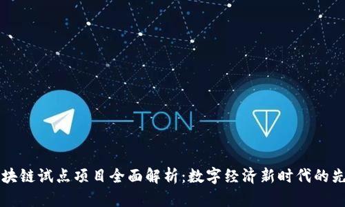 上海区块链试点项目全面解析：数字经济新时代的先锋力量