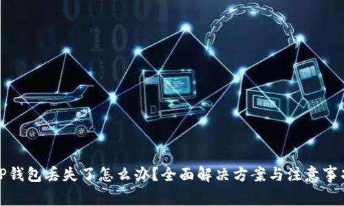 TP钱包丢失了怎么办？全面解决方案与注意事项