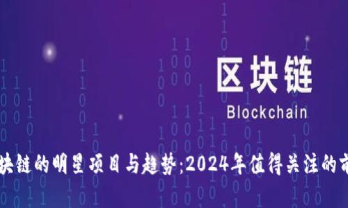 未来区块链的明星项目与趋势：2024年值得关注的前沿技术