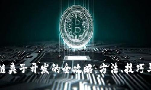 区块链夹子开发的全攻略：方法、技巧与趋势