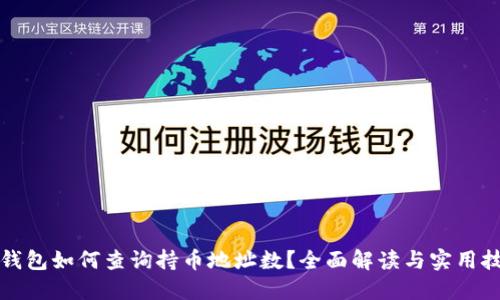 TP钱包如何查询持币地址数？全面解读与实用技巧