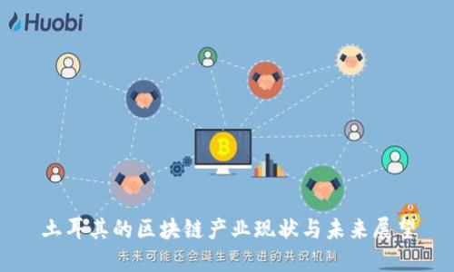 土耳其的区块链产业现状与未来展望