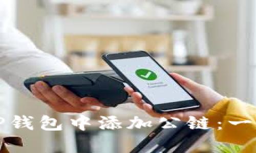 如何在TP钱包中添加公链：一站式指南