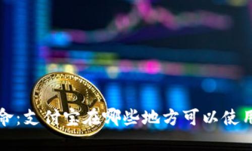 数字钱包革命：支付宝在哪些地方可以使用的全面指南