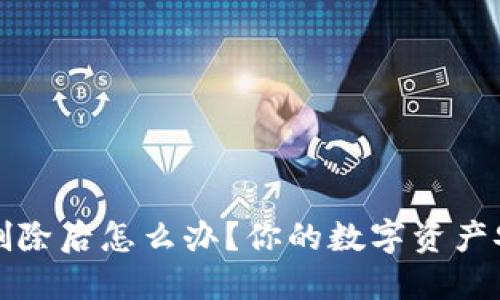TP钱包删除后怎么办？你的数字资产安全指南