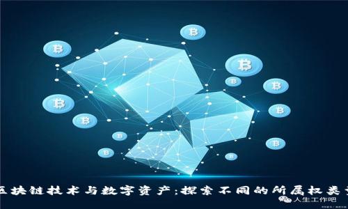 区块链技术与数字资产：探索不同的所属权类型