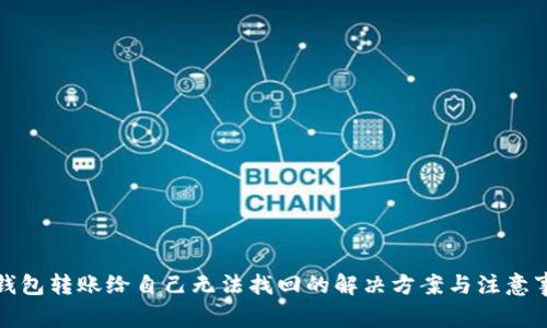 TP钱包转账给自己无法找回的解决方案与注意事项