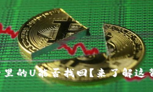 TP钱包池子里的U能否找回？来了解这背后的秘密！
