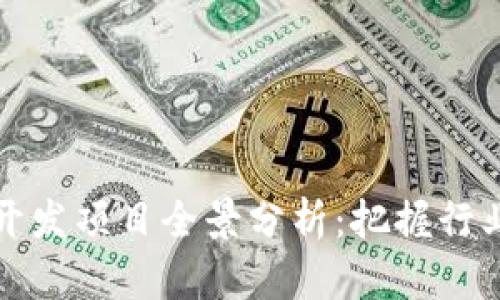区块链国内开发项目全景分析：把握行业趋势与机遇
