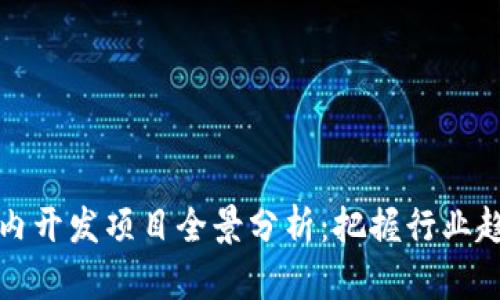 区块链国内开发项目全景分析：把握行业趋势与机遇