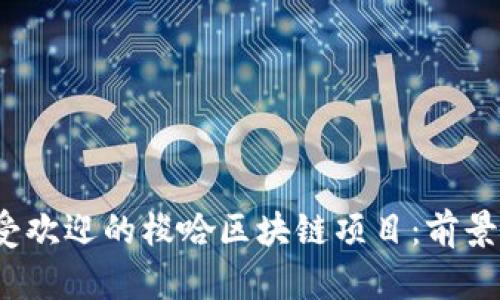 2023年最受欢迎的梭哈区块链项目：前景与潜力分析