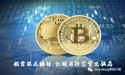 揭露假区块链：识别与防范常见骗局