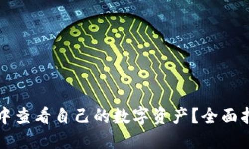 如何在TP钱包中查看自己的数字资产？全面指南与实用技巧