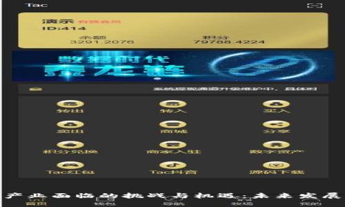 探讨区块链产业面临的挑战与机遇：未来发展的关键所在
