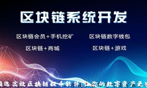 
   精选高效区块链提币软件：让你的数字资产更安全 