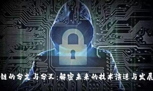 区块链的分支与分叉：解密未来的技术演进与发展趋势