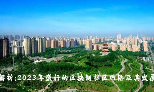 全面解析：2023年盛行的区块链社区网络及其发展趋势