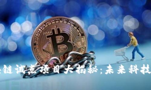 国家区块链试点项目大揭秘：未来科技的先行者