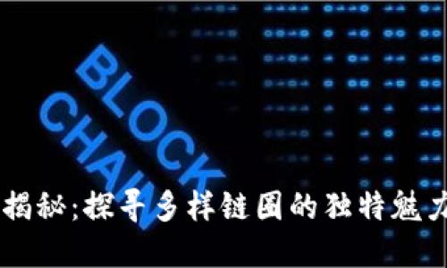 区块链揭秘：探寻多样链圈的独特魅力与潜力