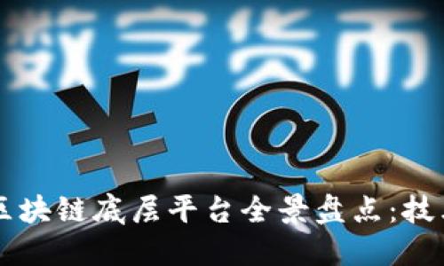 2023年国内区块链底层平台全景盘点：技术、趋势与未来