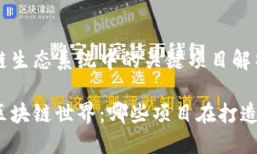 区块链生态系统中的关键项目解析

探究区块链世界：哪些项目在打造生态？