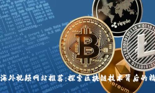 区块链海外视频网站推荐：探索区块链技术背后的精彩内容