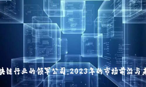 探索区块链行业的领军公司：2023年的市场前沿与未来发展
