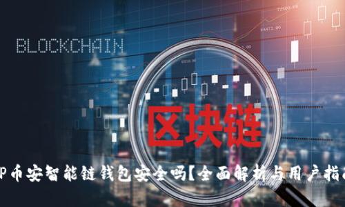 TP币安智能链钱包安全吗？全面解析与用户指南