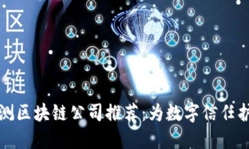 第三方检测区块链公司推荐：为数字信任护航的先锋