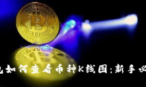 T P钱包如何查看币种K线图：新手必看指南