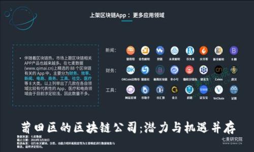 莆田区的区块链公司：潜力与机遇并存