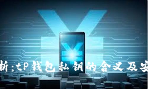深入解析：tP钱包私钥的含义及安全风险