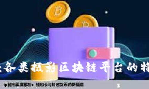 深入探讨：各类摄影区块链平台的特点与趋势