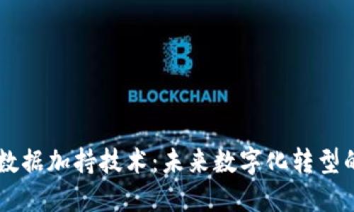 区块链数据加持技术：未来数字化转型的驱动力