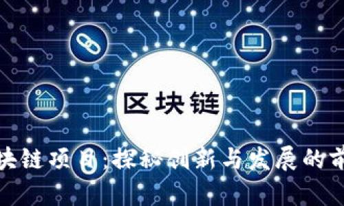 山东区块链项目：探秘创新与发展的前沿阵地