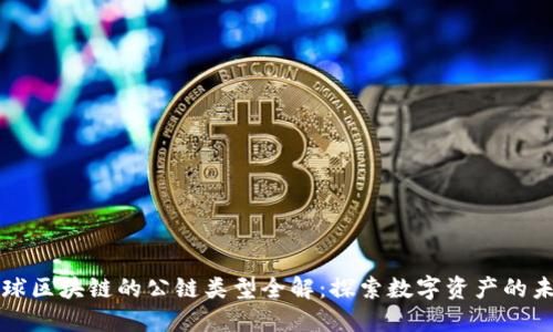 全球区块链的公链类型全解：探索数字资产的未来