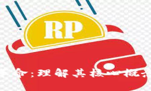 探索区块链革命：理解其核心概念与未来思路