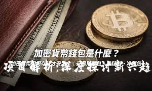 区块链未来的明星项目解析：深度探讨新兴趋势与潜力投资机会