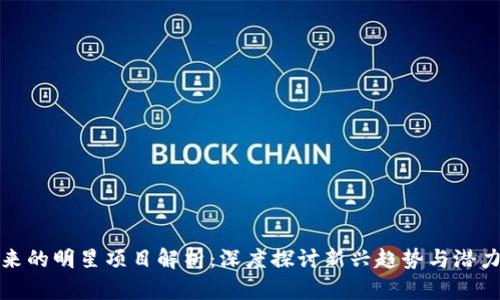 区块链未来的明星项目解析：深度探讨新兴趋势与潜力投资机会
