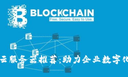 区块链共享云服务器推荐：助力企业数字化转型新选择