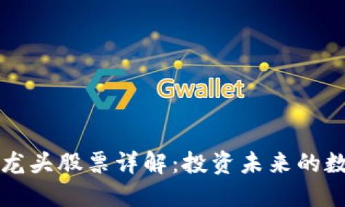 美国区块链龙头股票详解：投资未来的数字资产之路