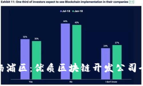 探索杨浦区：优质区块链开发公司全攻略