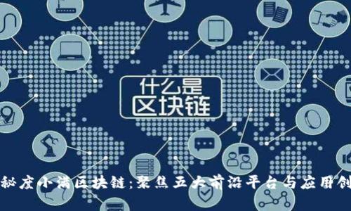 探秘度小满区块链：聚焦五大前沿平台与应用创新